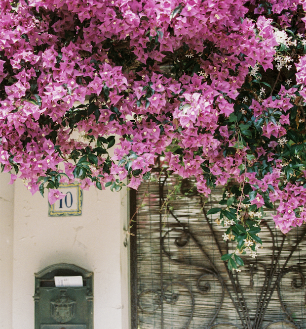 Spring Home Refresh: Inspiring Remodel & Design Ideas